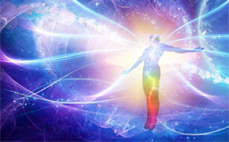 生物磁場頻率與全息臟腑反應區的共振原理