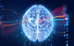 腦波頻率康復學原理
